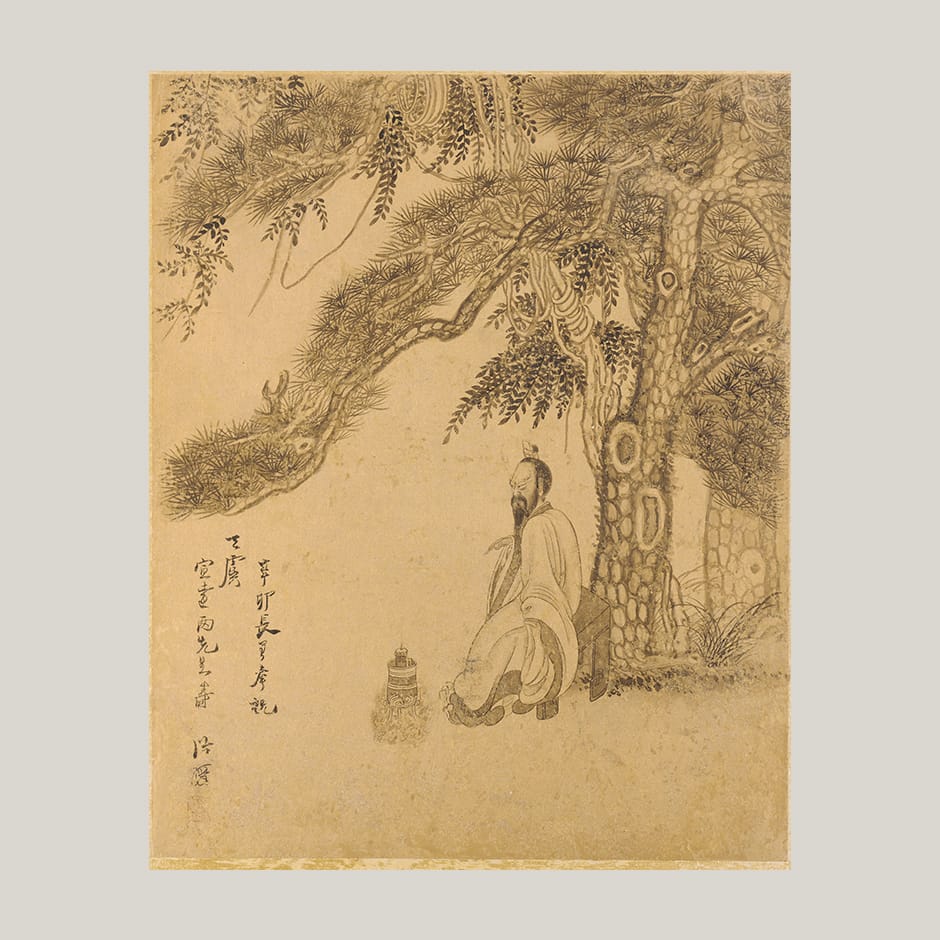preparing the elixir beneath a pine image