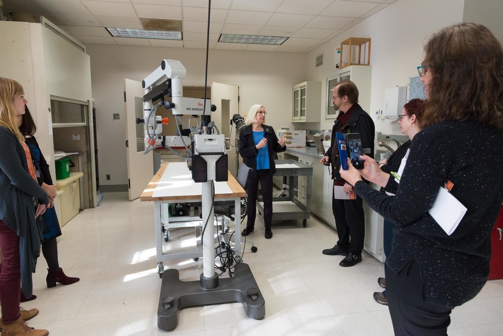 Photo of small group of people in conservation lab.