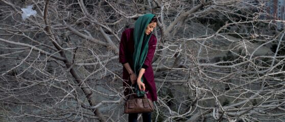 woman in a teal headscarf and burgundy outfit clutching a purse, surrounded by grey, naked trees, almost closing in on her.