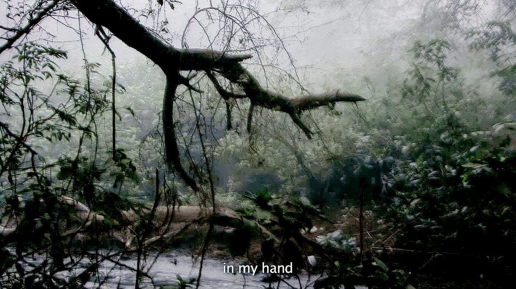 In a still from a video work, dense vegetation and a veil of fog surround a pond in the middle of a forest. From the top left, a large tree branch cast in shadow reaches into the center of the frame. At the bottom, a line from the video subtitles reads 'in my hand.'