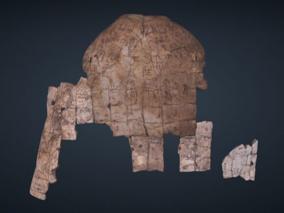 3d rendering of an oracle bone (inscribed turtle plastron)