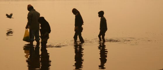 Four people are silhouetted against the soft golden-yellow background of a river bathed in early morning light. The figures stand in shallow water, bending to reach into it then gathering to examine their haul. Their reflections appear on the calm surface of the river.