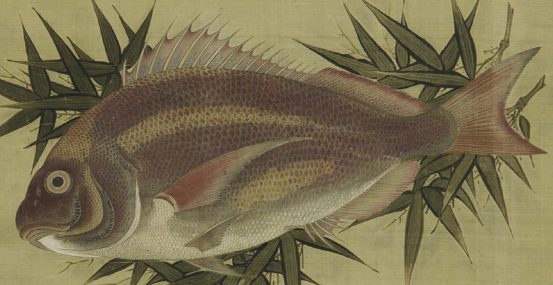 A painting of a red fish on bamboo leaves with a decorated border.
