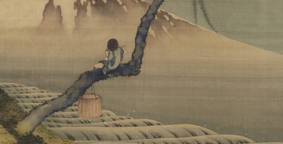 A young boy sitting on a tree branch looking at a mountain.