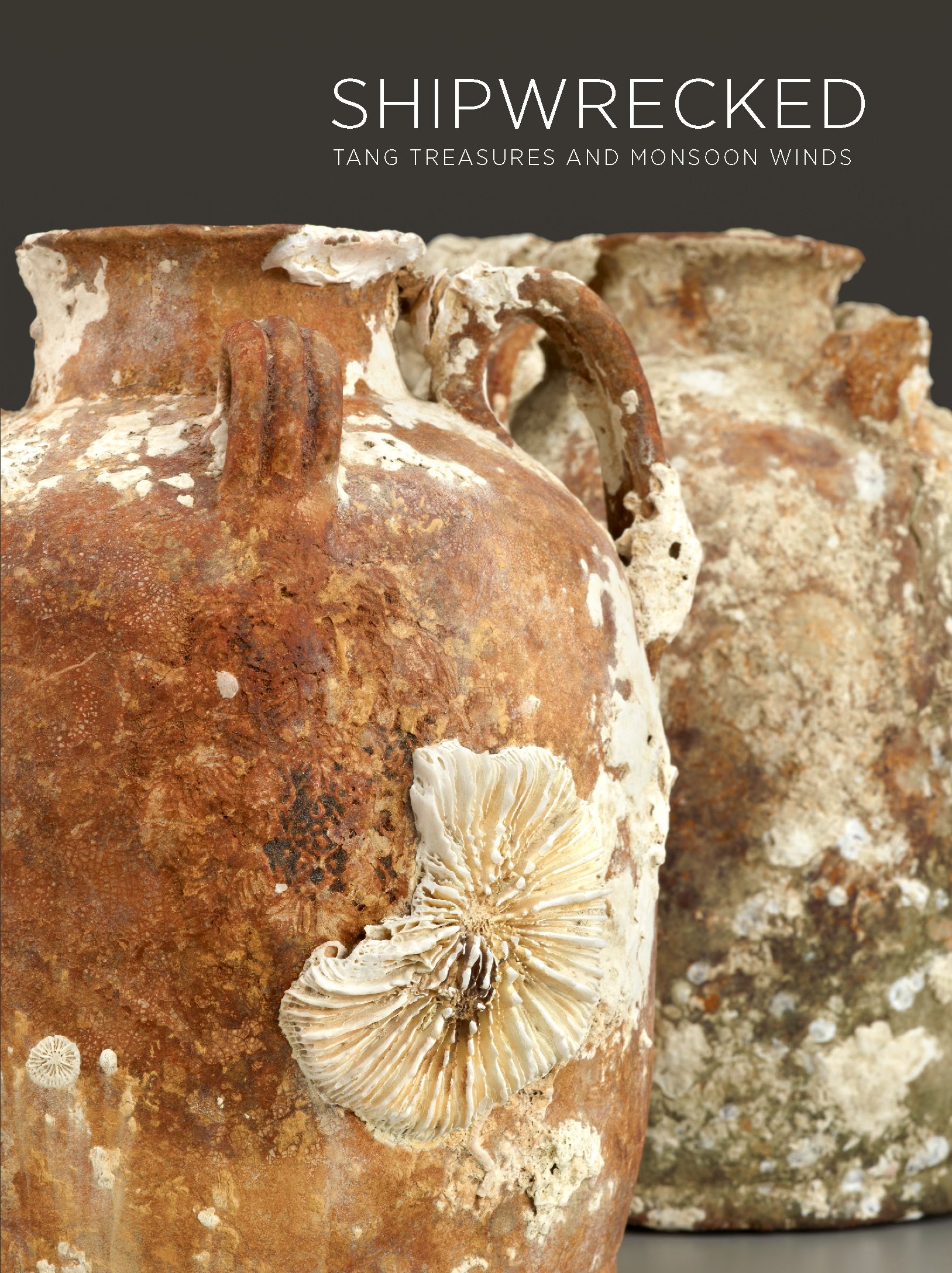 Shipwrecked exhibition catalog cover; cover image: reddish-brown clay pots with aquatic damage.