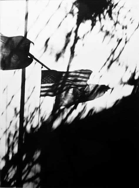 A black and white photo of an american flag in the distance, something in the foreground partially obscuring the view