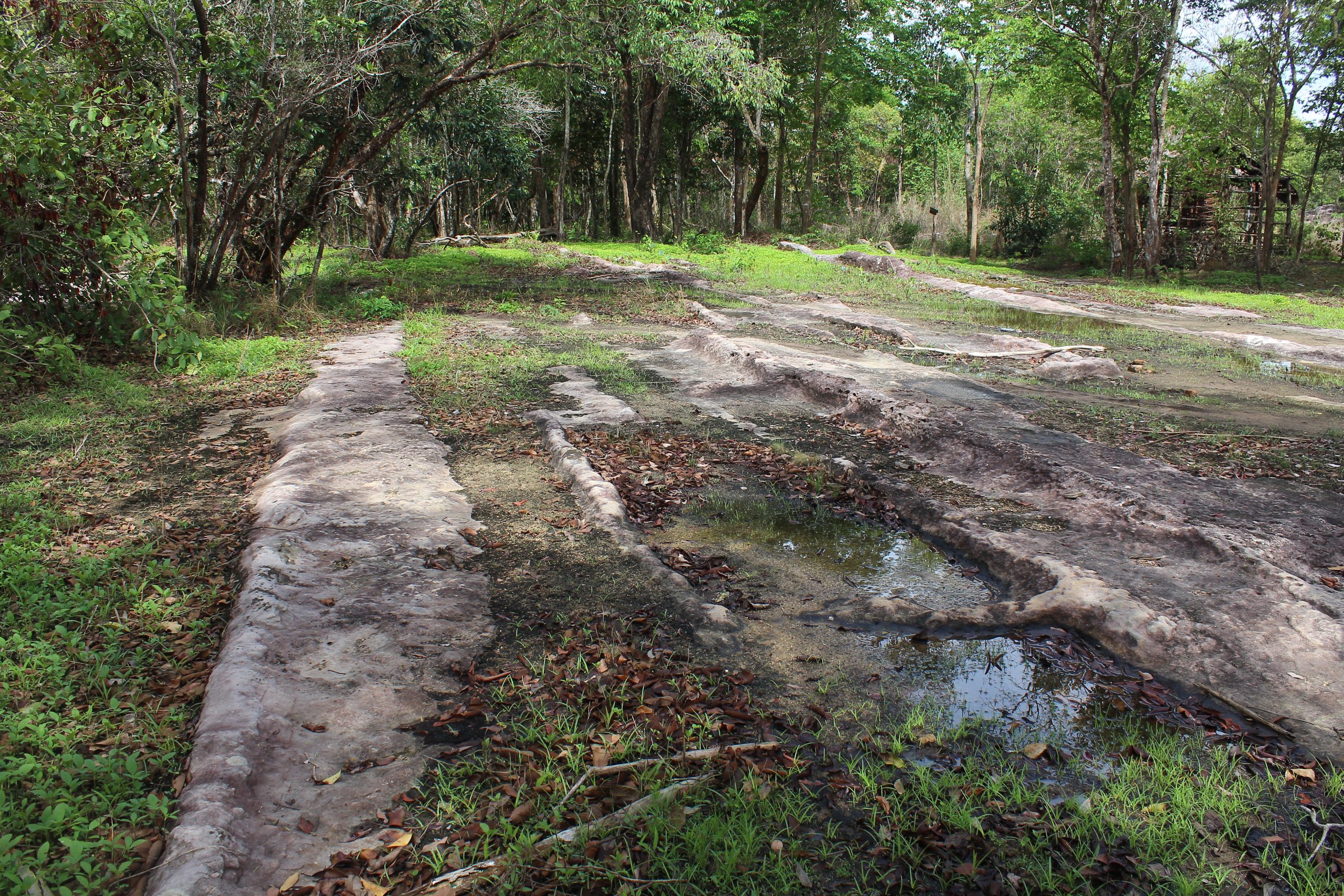 Remains of quarried stone on a forested mountainslope