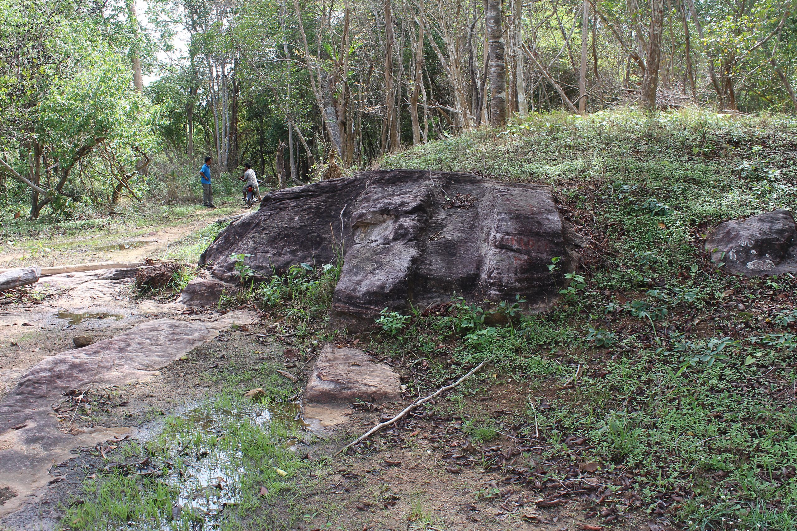 Remains of quarried stone on a forested mountainslope