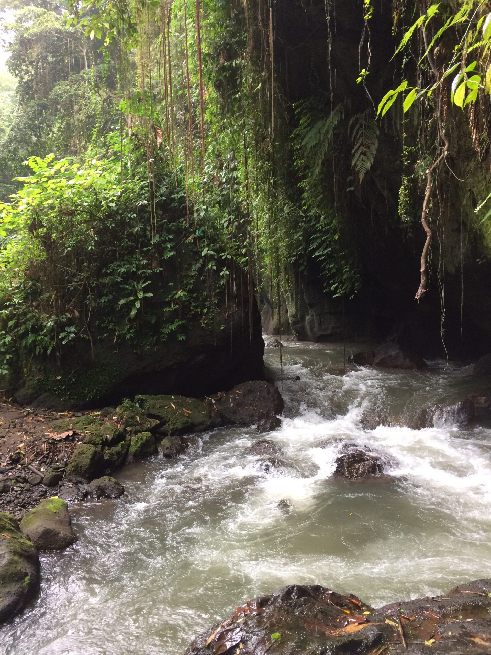 Rushing water in the jungle