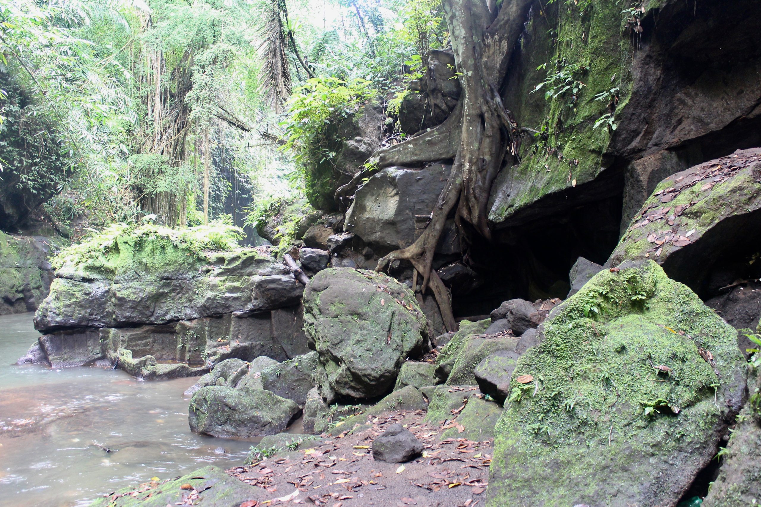 Caves beside a river ravine