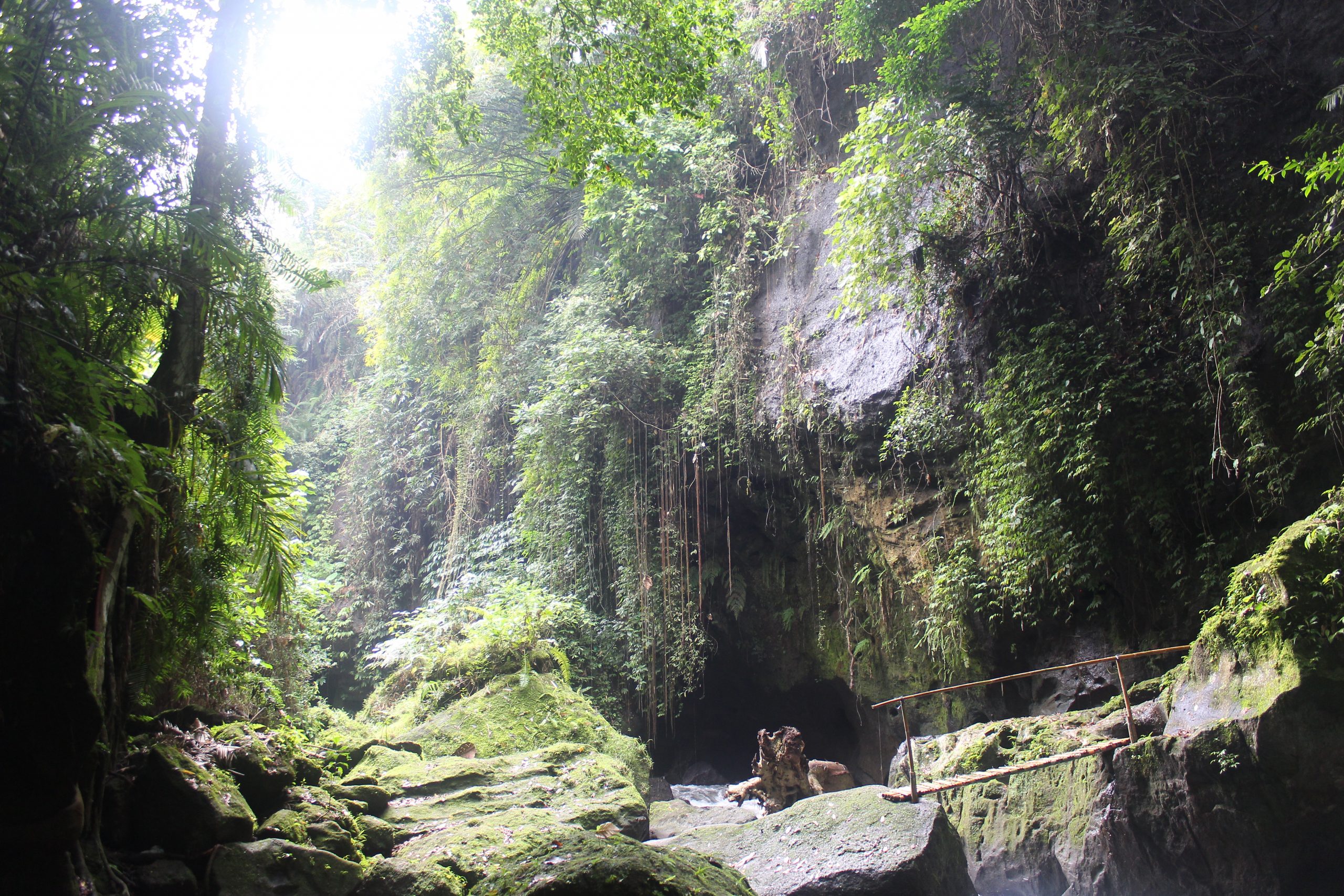 Bamboo bridge leading toward a cave