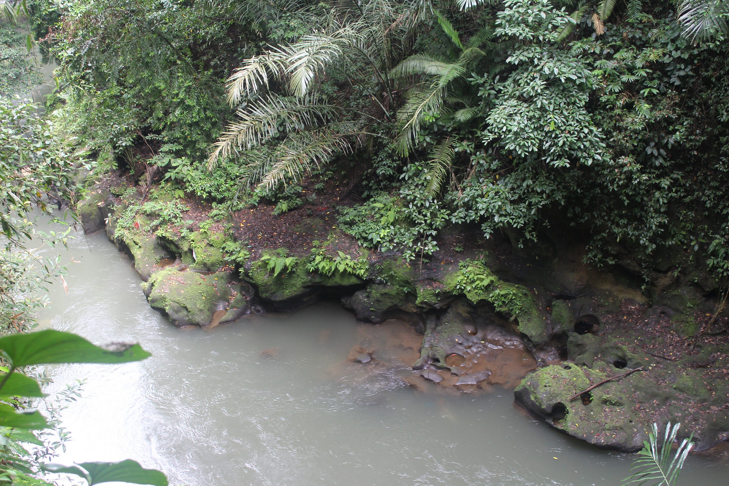 Ravine from above