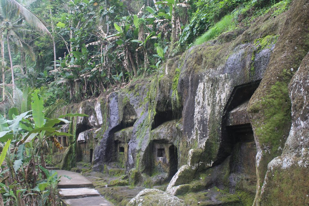 Rock cut caves with jungle foliage