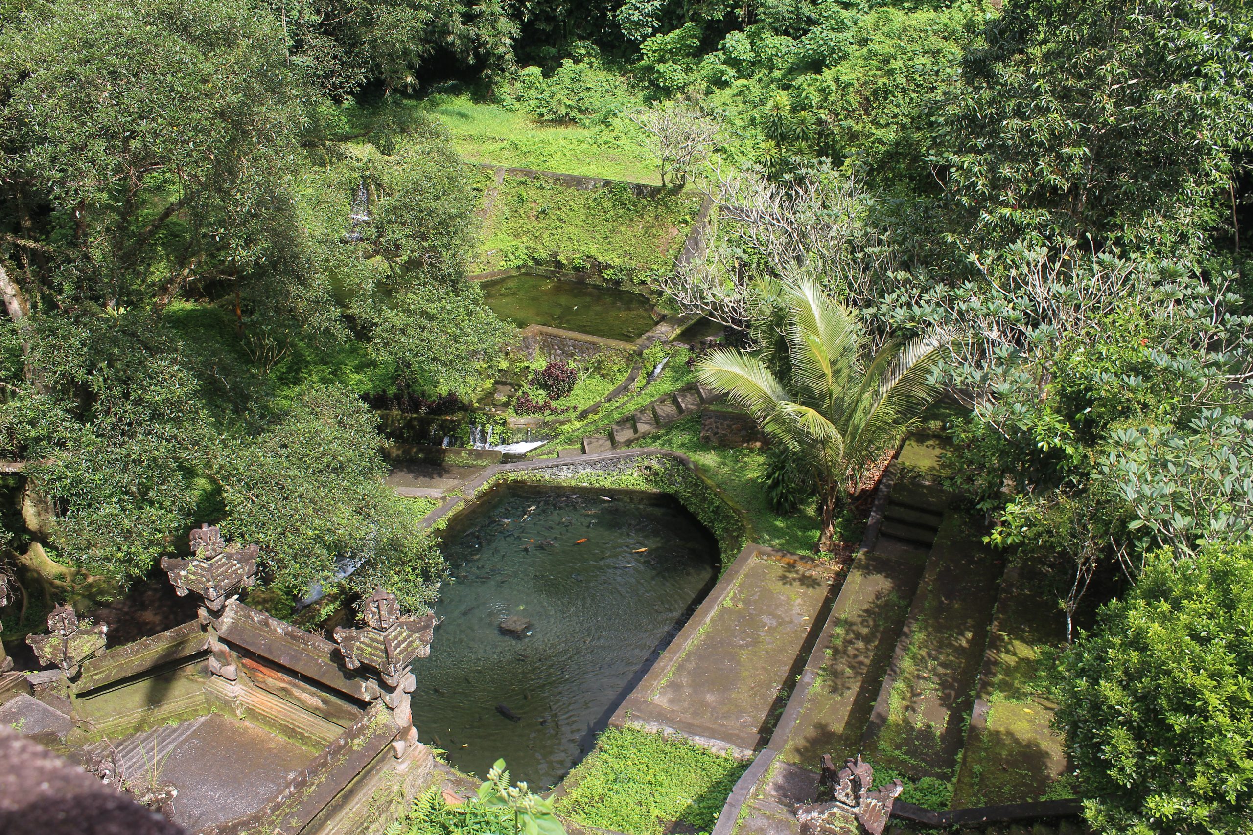 Terraced bathing place with carp pool at center