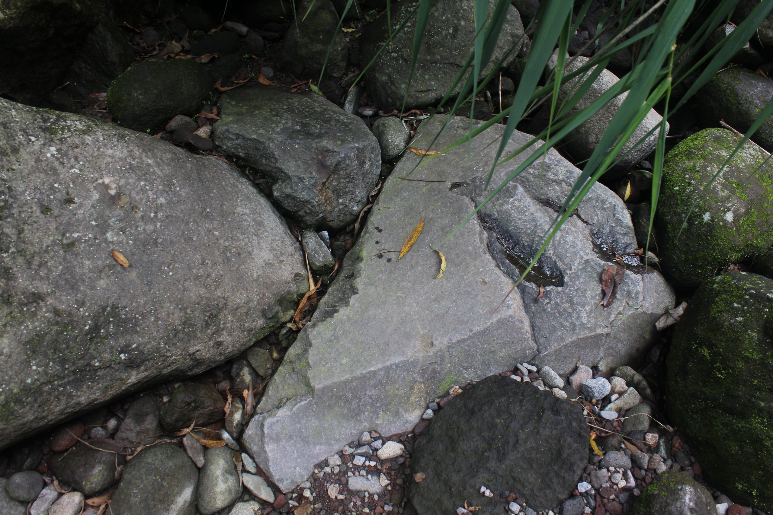 Rock with quarry marks