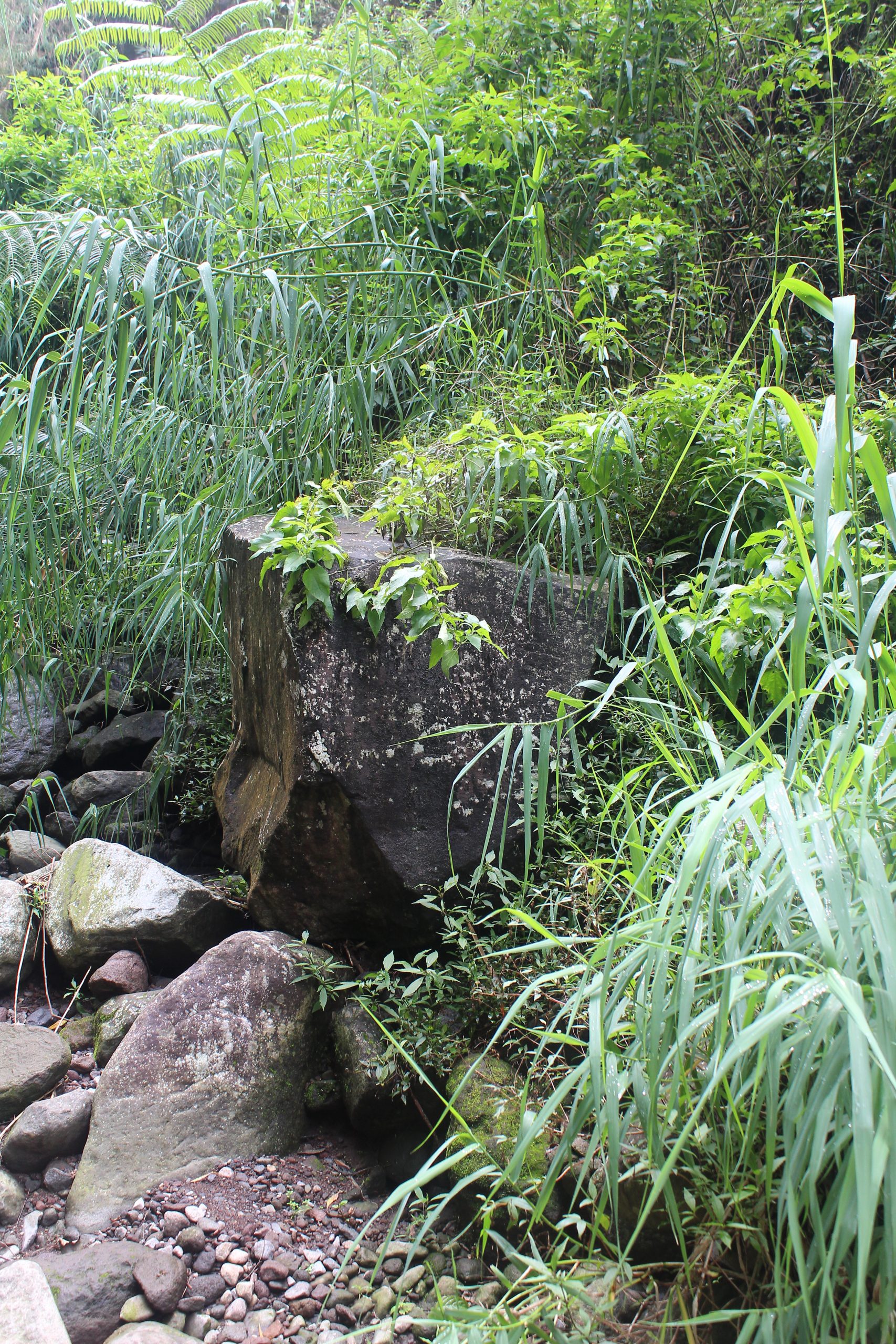 Rock with quarry marks