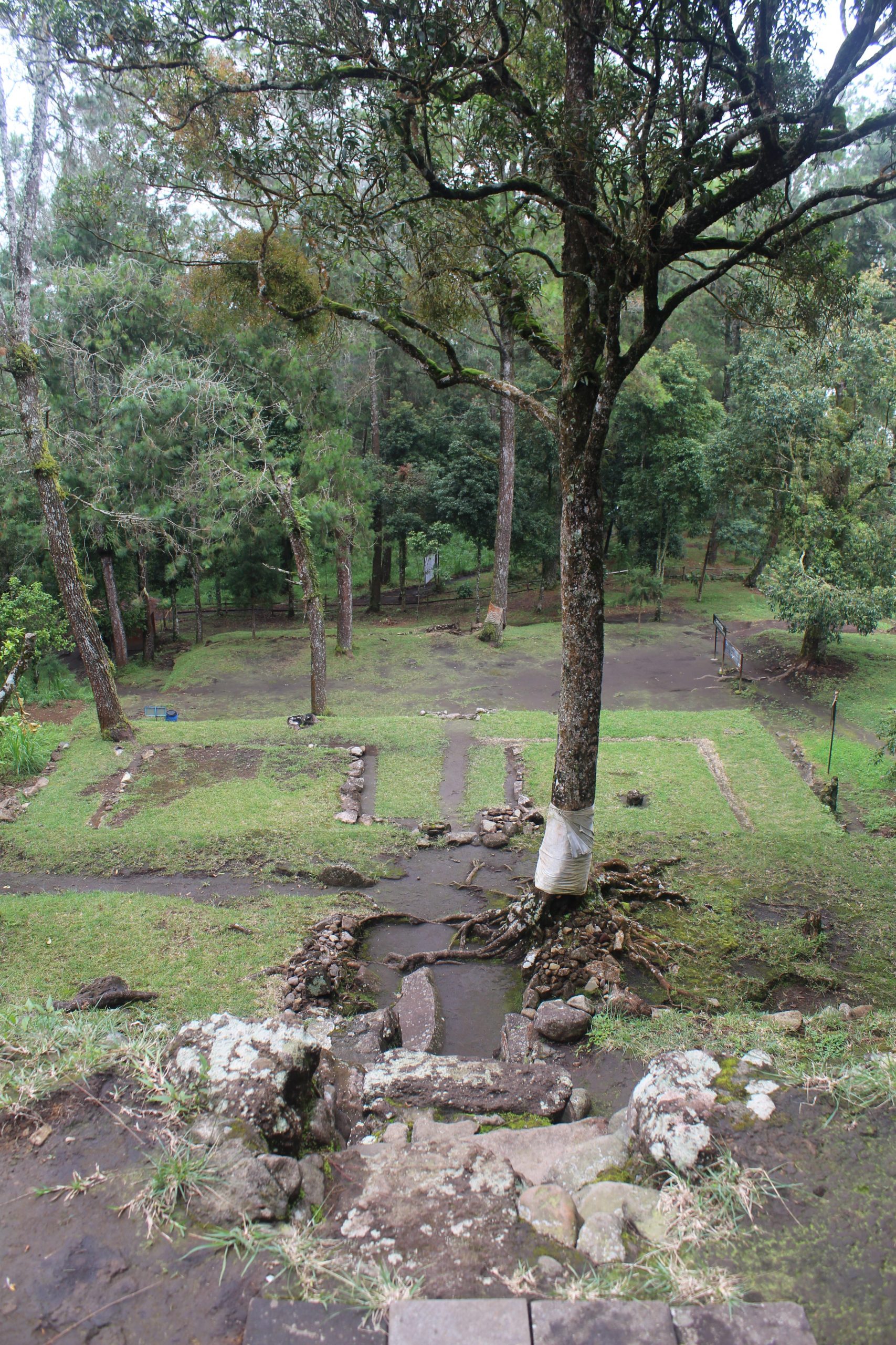 View from top of terraced temple