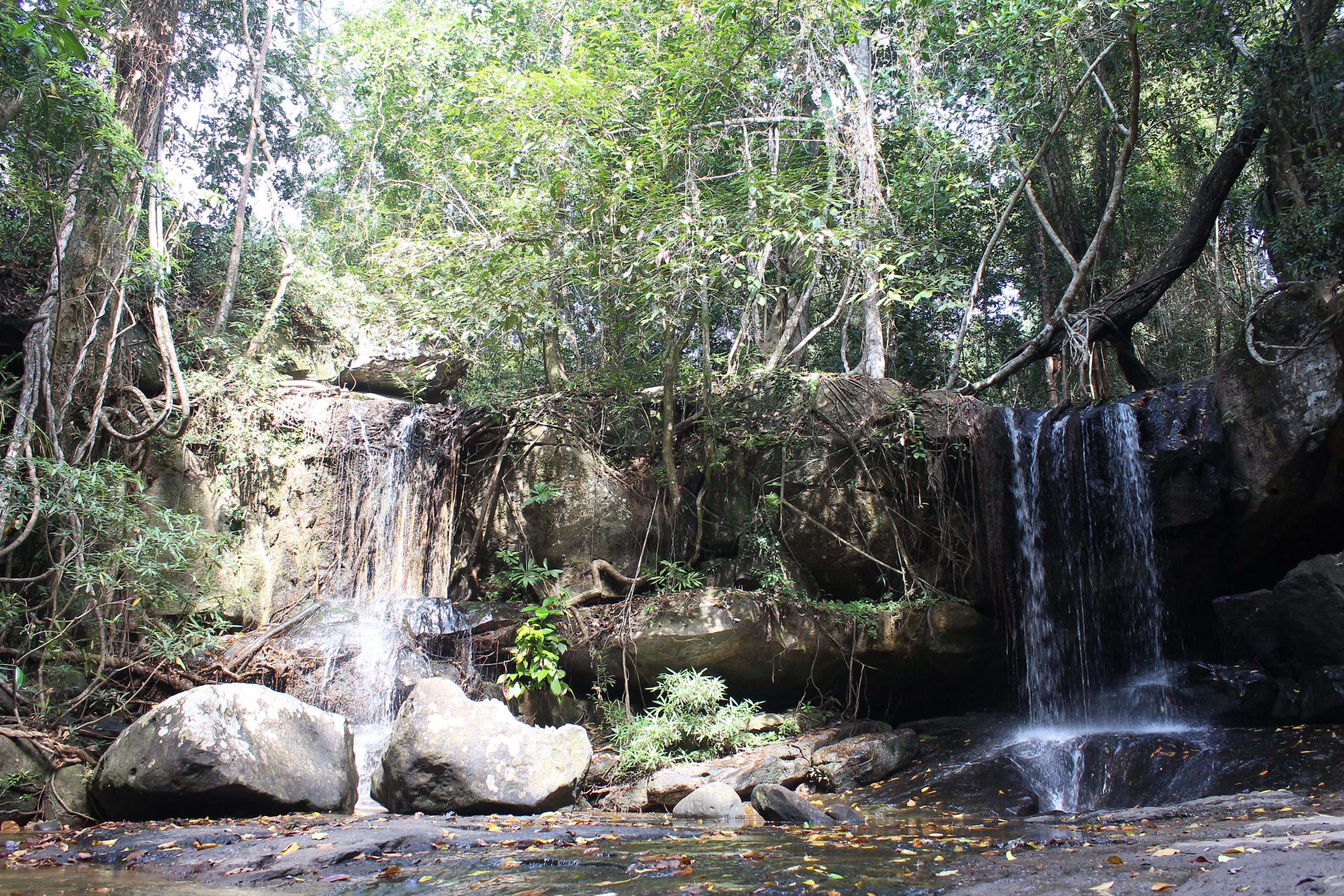 Double waterfall in jungle