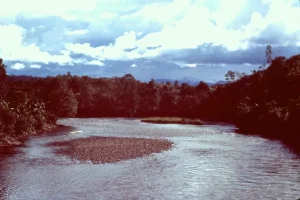 Kayan River with lush banks visible on both sides of the image.
