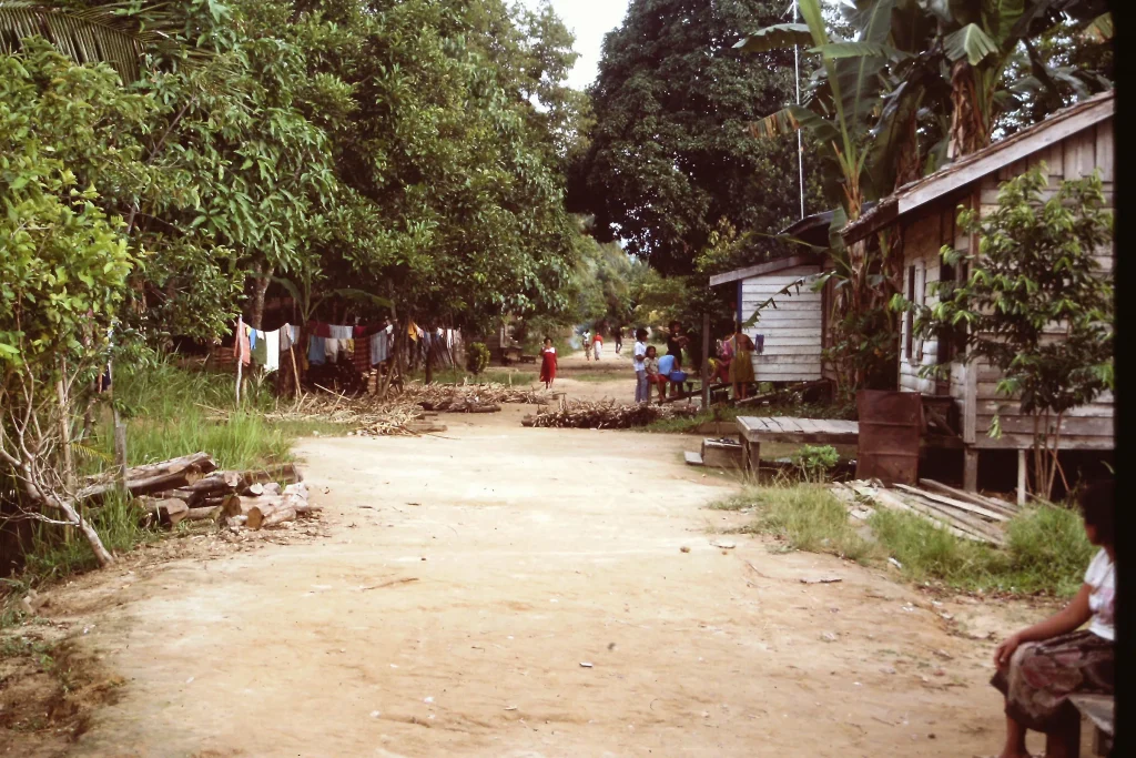 A dirt road fades into the horizon with forest on the left and longhouses on the right, dotted with people walking along the road.