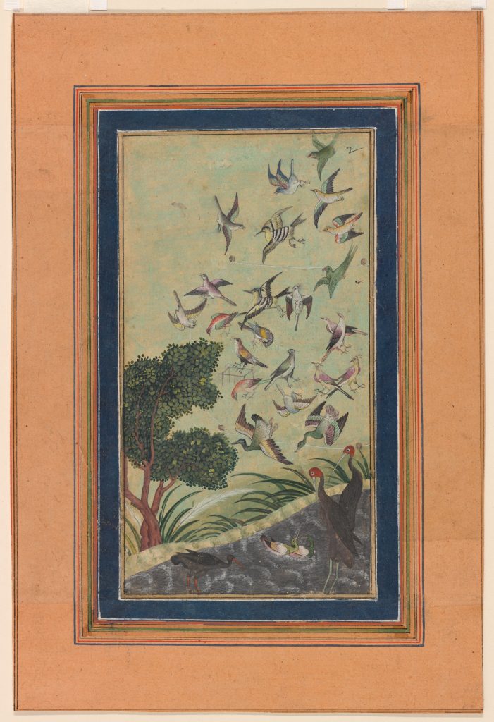 a flock of birds flying over a stream and a tree