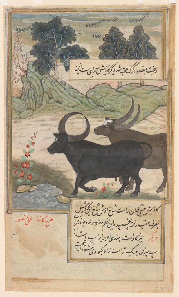 two buffalo near a stream with mountains and trees in the background