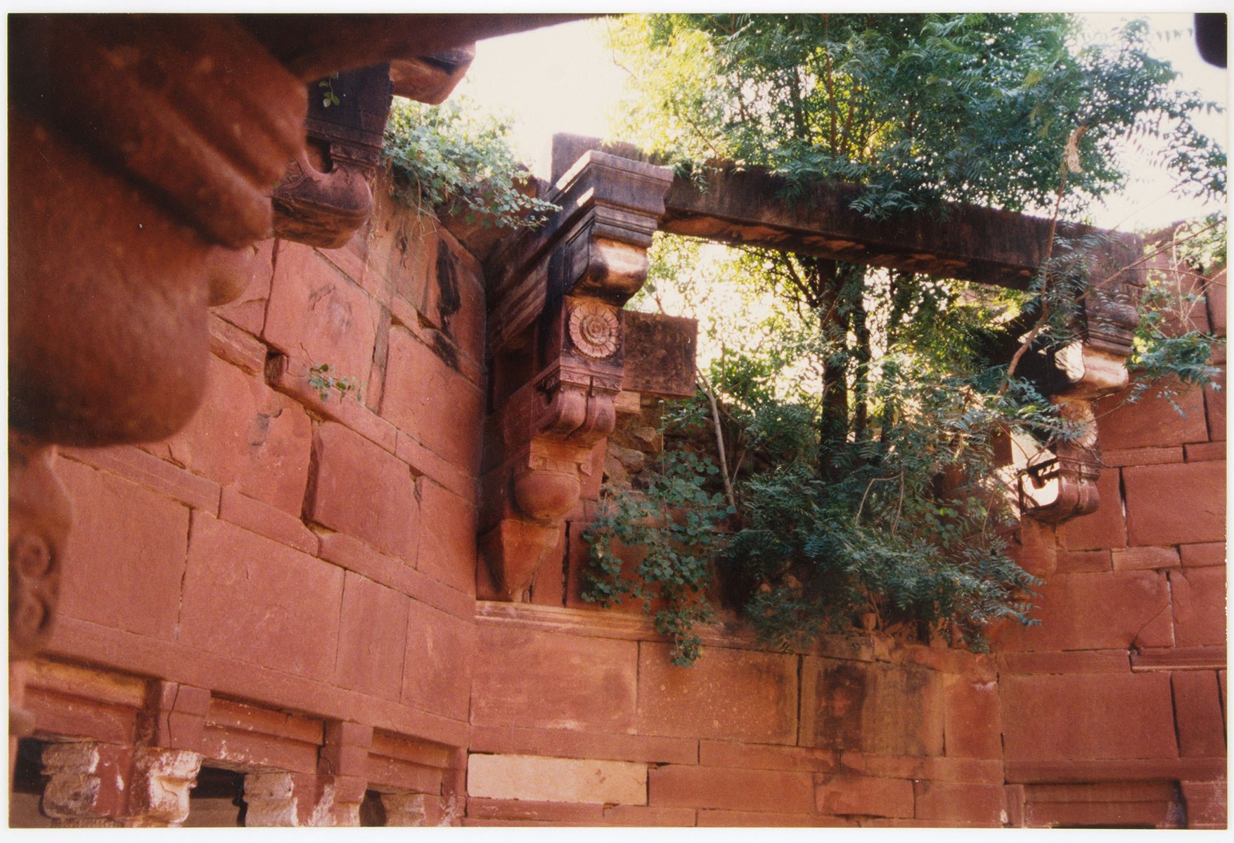 Foliage creeps over the wallas of a large, red stone well.