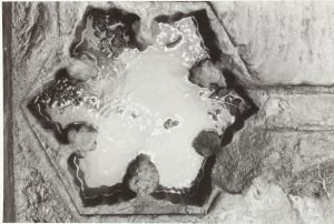 a photograph of a lotus shaped pool