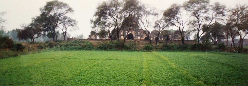 photograph of a green field and a Kabuli Bagh mosque in the background