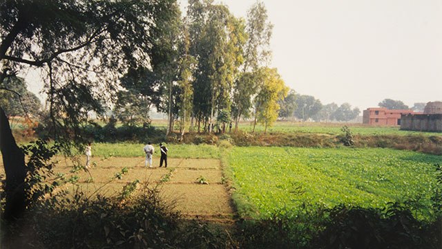 detail, two small figures in a vast grassy field, trees on the left side