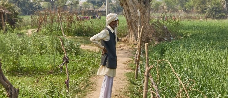 indian man standing on a path in a rich green field