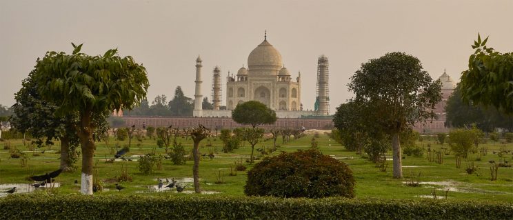 detail from a photo of the Taj Mahal