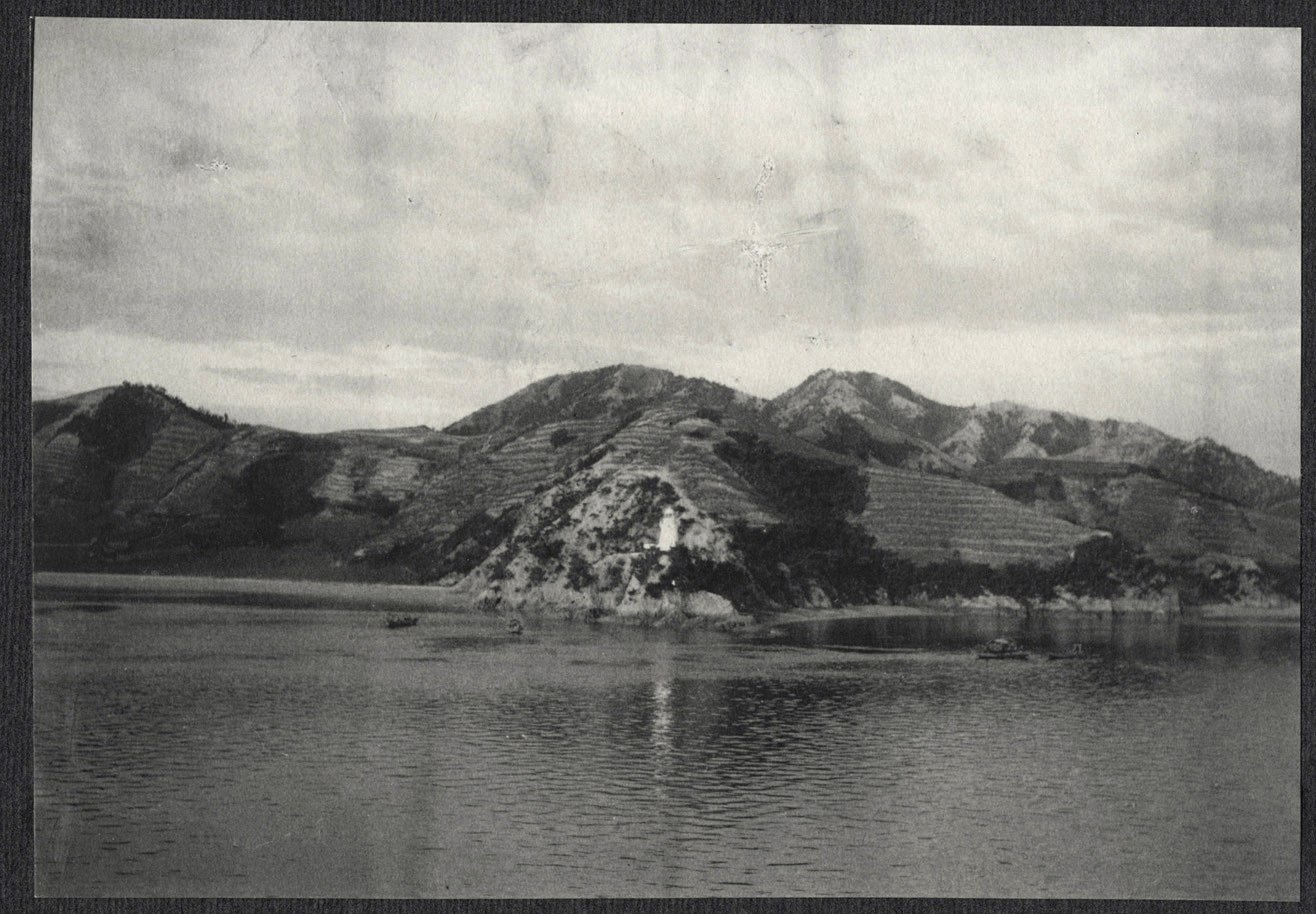 Terraced hillsides on the coast of Japan