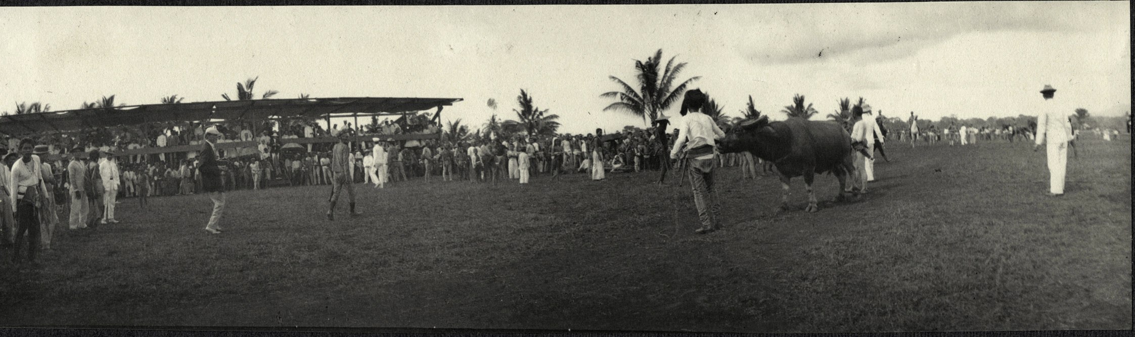 Jolo: Watching preparations for a bull fight