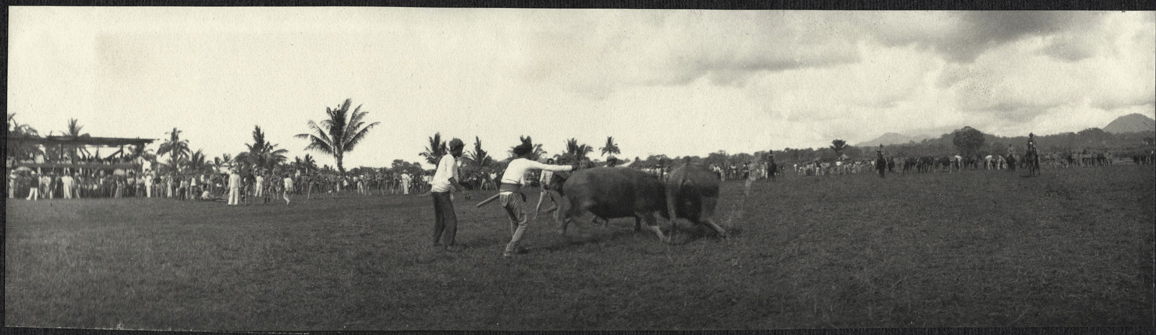 Jolo: Bullfight