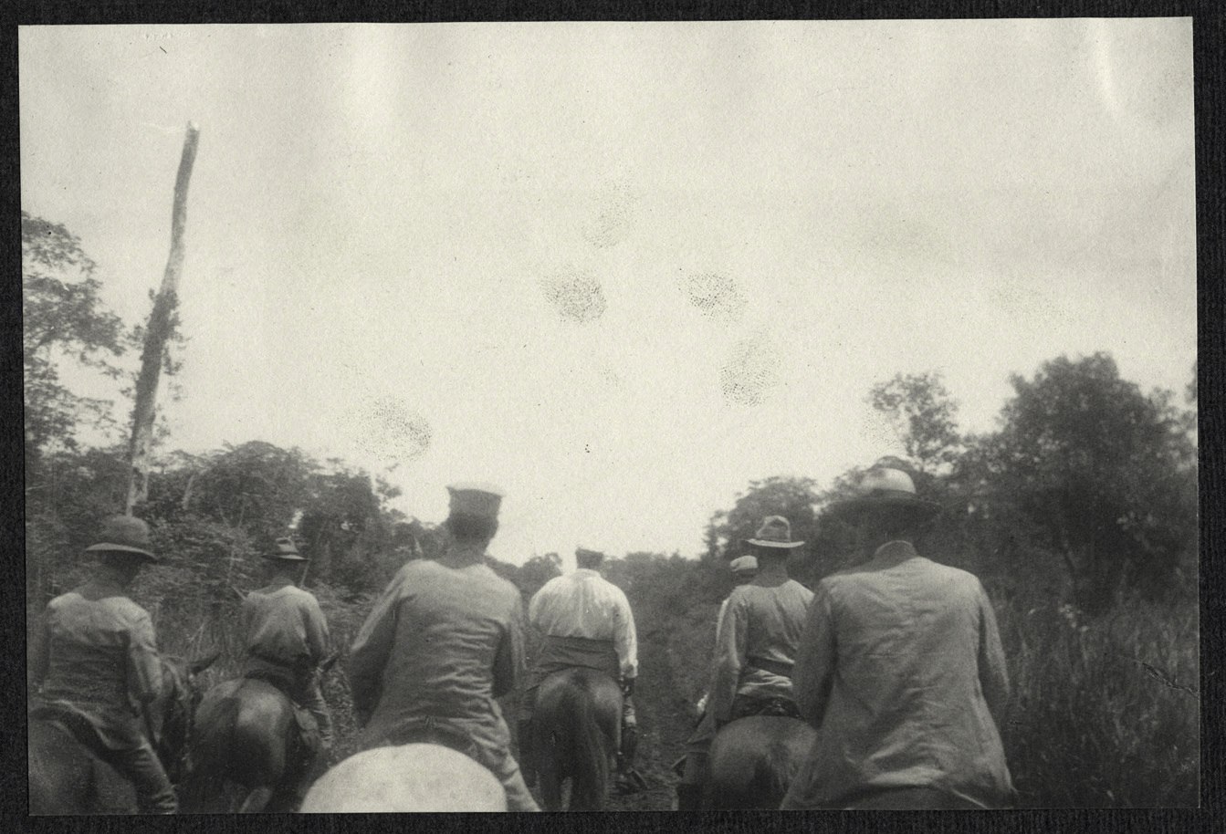 Mindanao: Army riders on the forest trail, William H. Taft near the lead