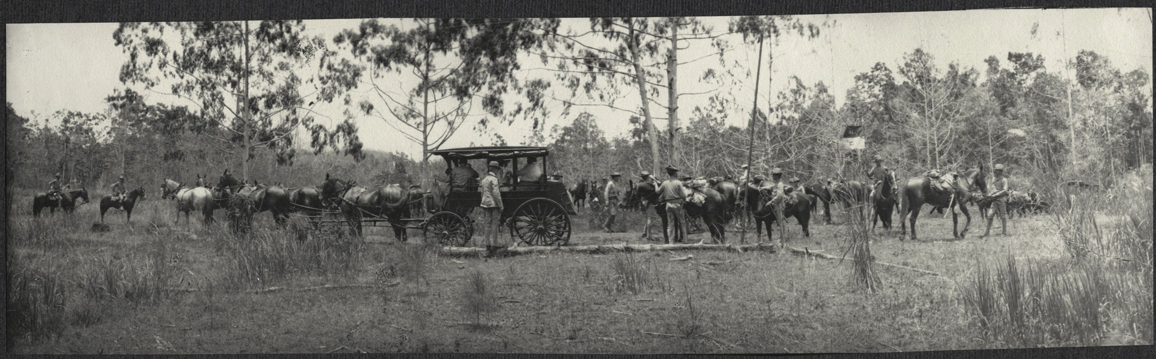 Mindanao: Riders in the jungle, carriage holding William H. Taft and Alice Roosevelt at center