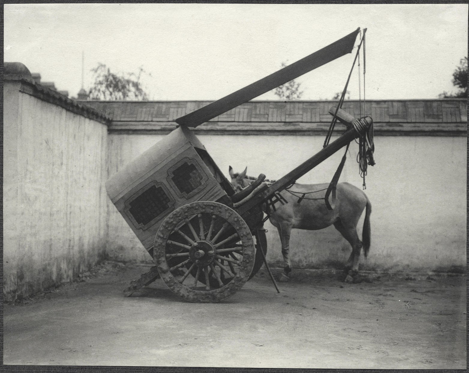 Beijing: Cart and horse