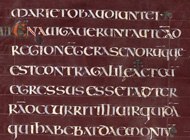The Stockholm Codex Aureus