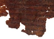 Shreds of dark brown leather with printing in black ink.