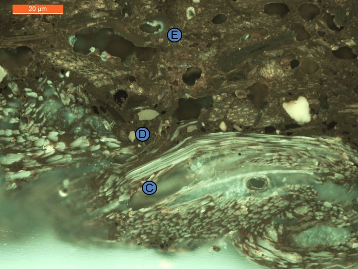 A cross section of a sample