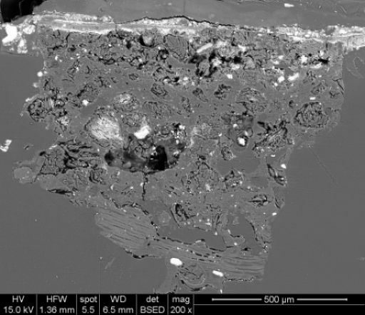 Backscattered electron image of the cross section. Image courtesy Timothy Rose