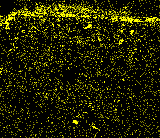 Silicon X-ray map. Image courtesy Timothy Rose