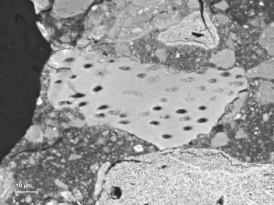 detail of bone fragments in the lacquer