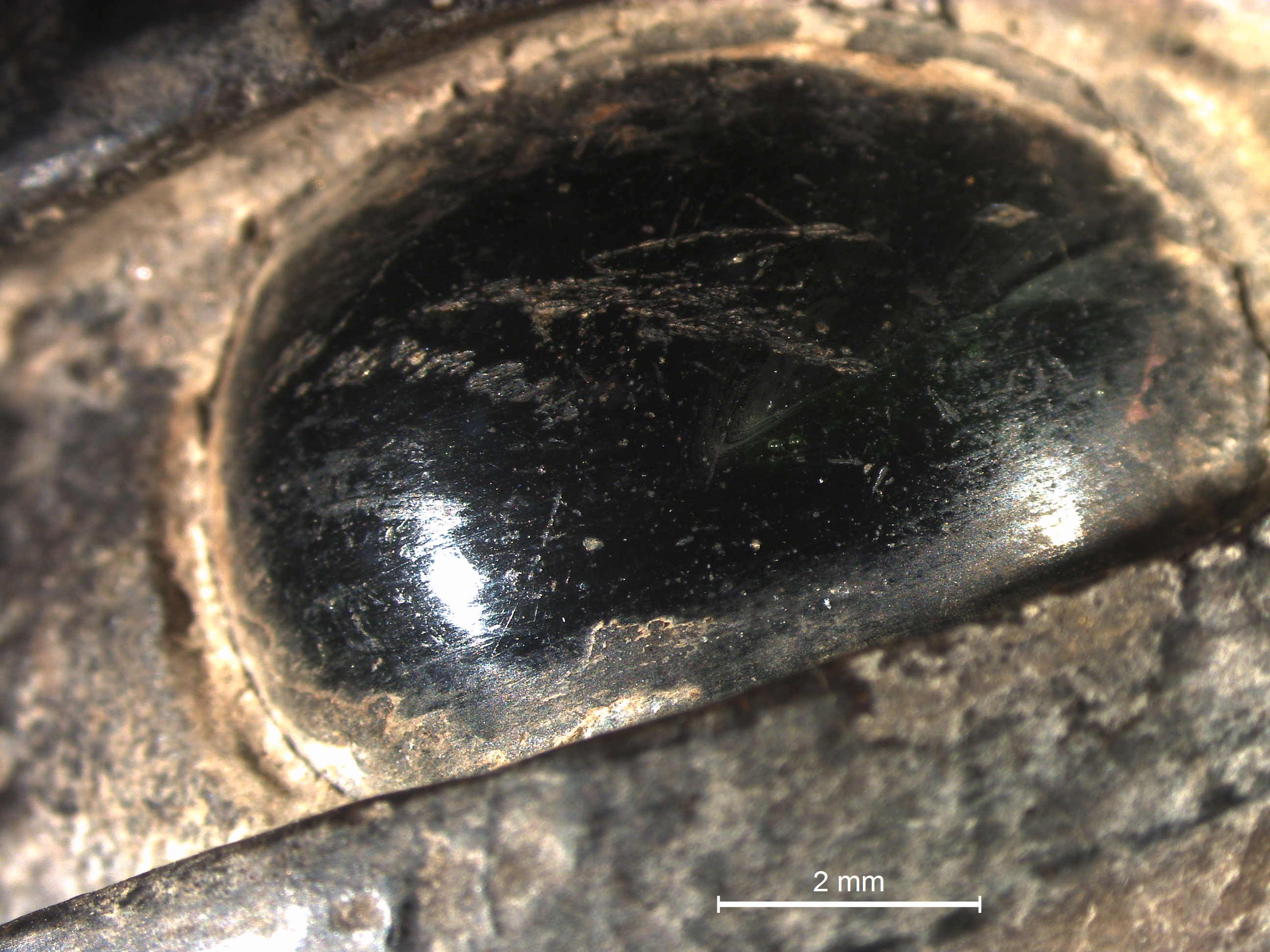 Closeup view of the bodhisattva’s eye