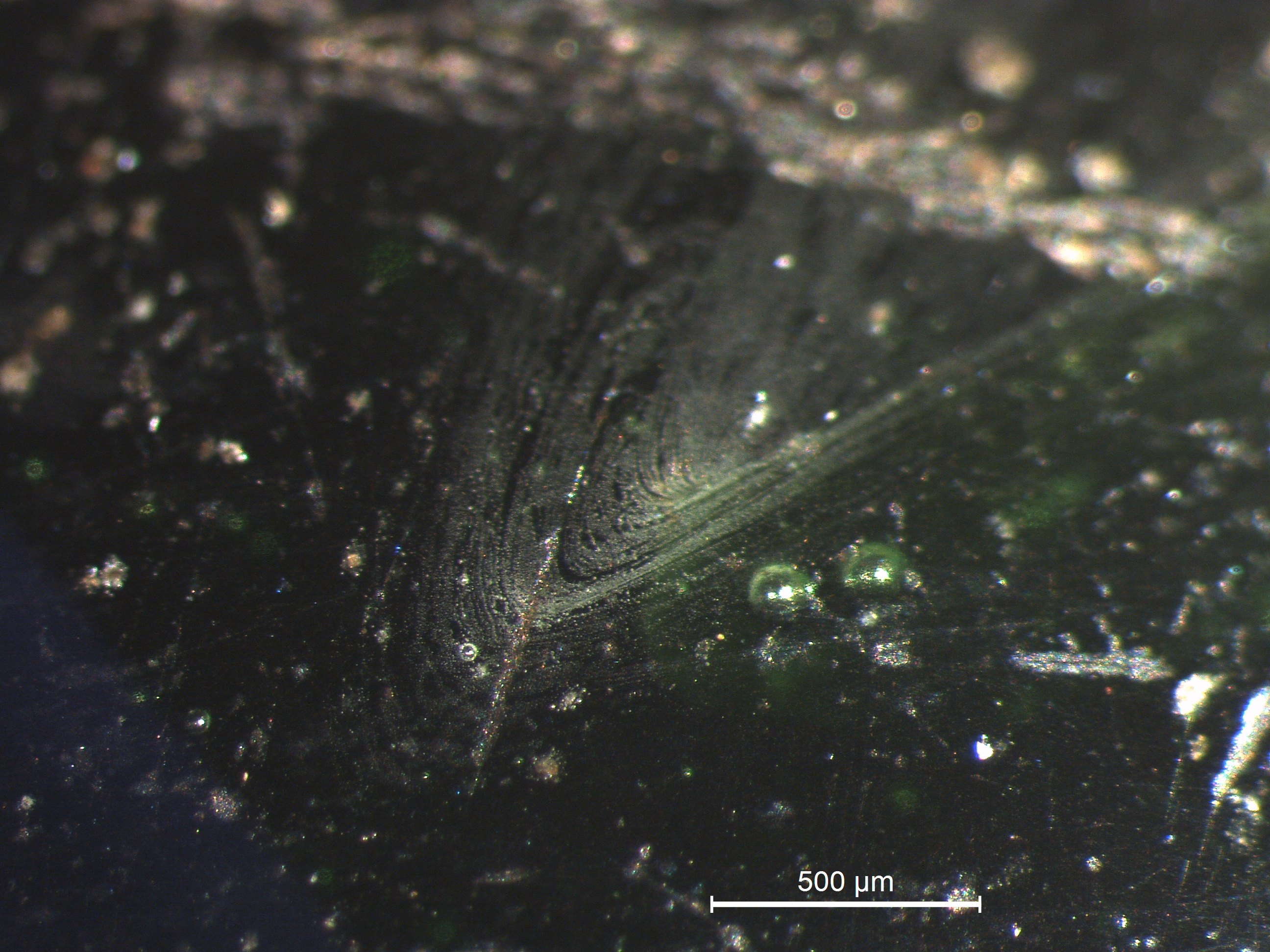 Magnified view of eye in figure S21 with flow lines and bubbles in the glass