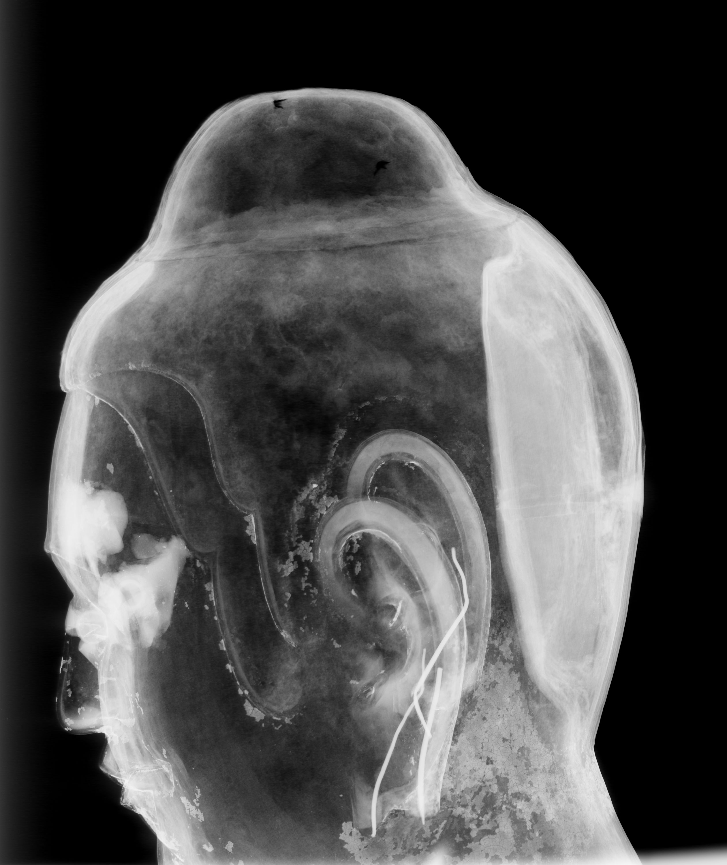 side view xray of the freer buddha