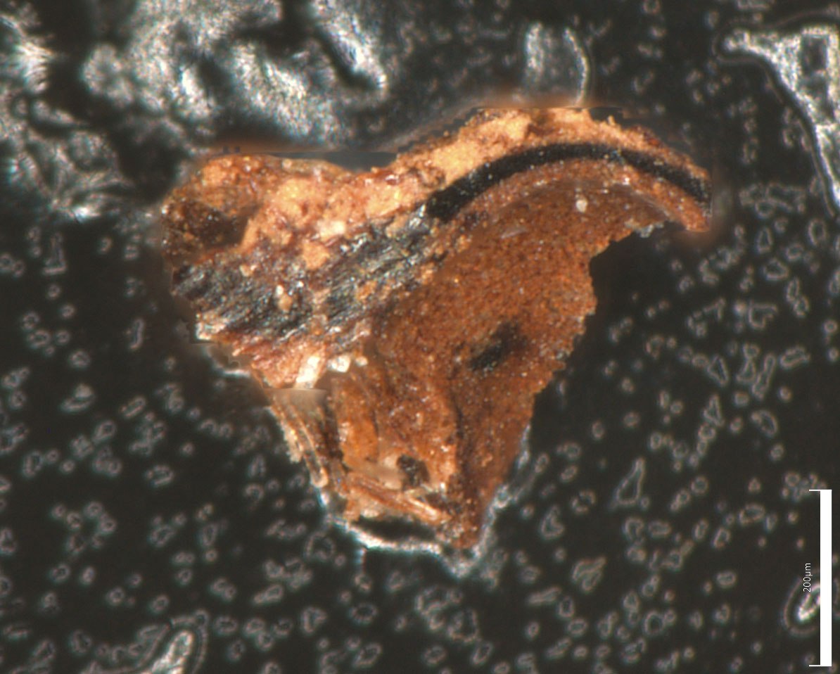 an orangish area on a black/grey area