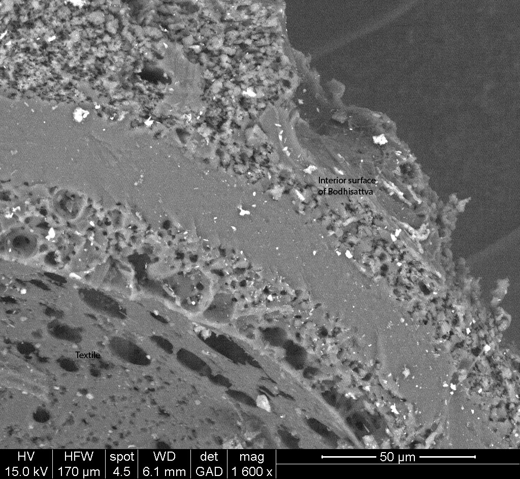 a close detail cross section