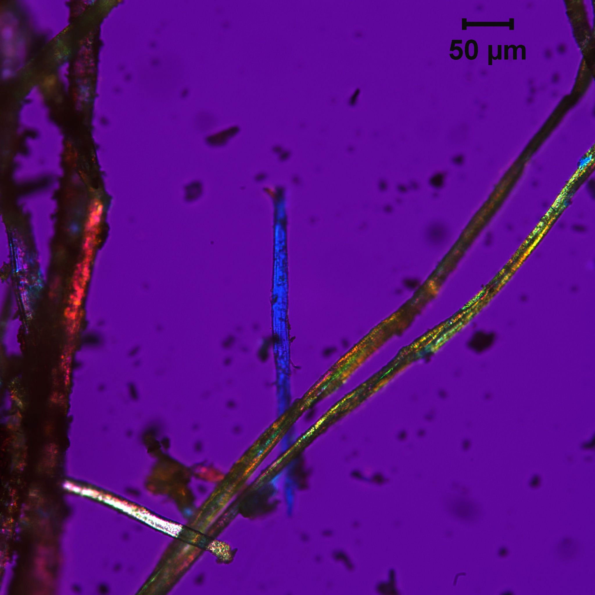 dark threads, on a purple background